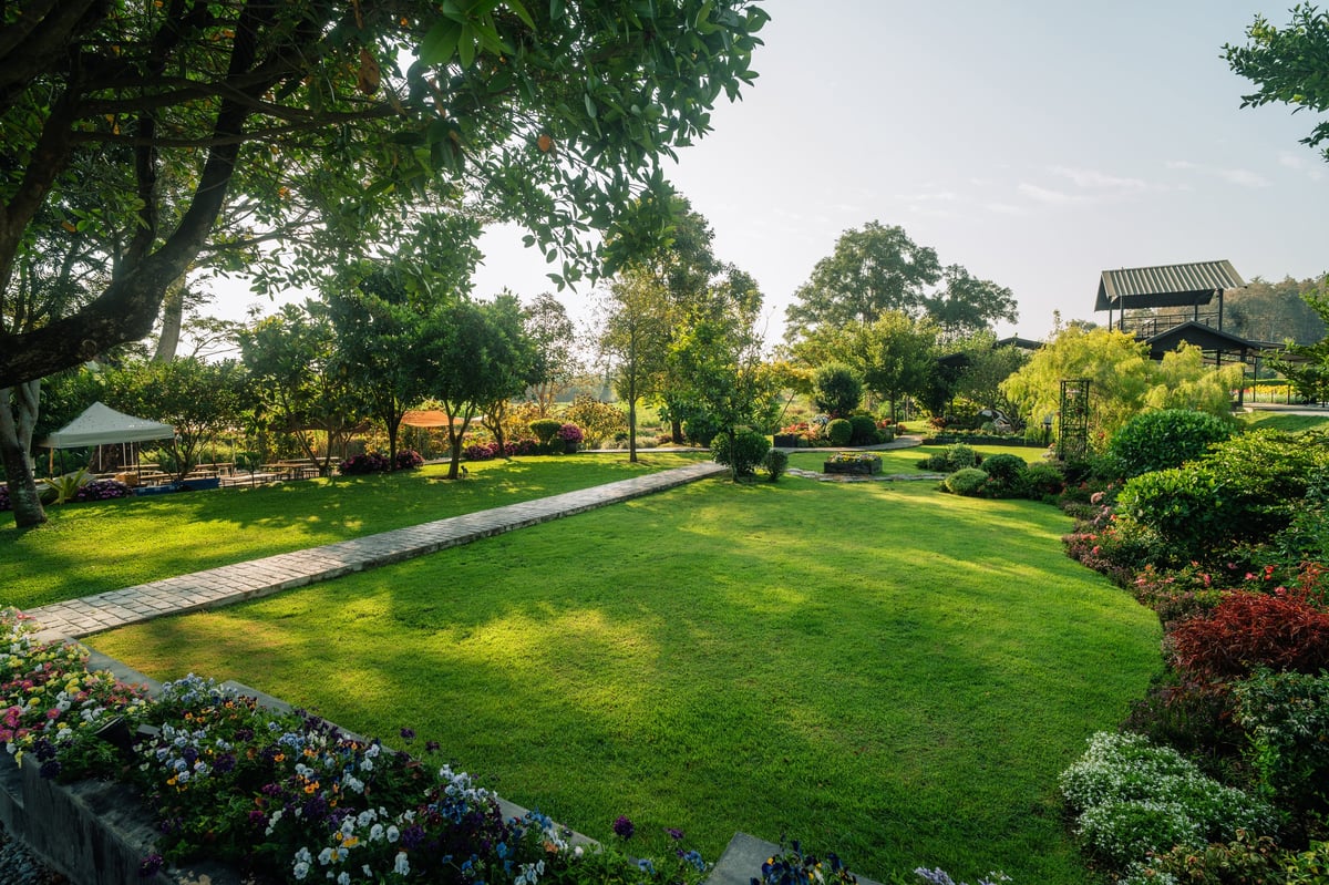Wide angle view of a landscaped garden featuring a curved stone pathway cutting through a fresh green lawn, surrounded by trees and colorful flower beds under morning sunlight.