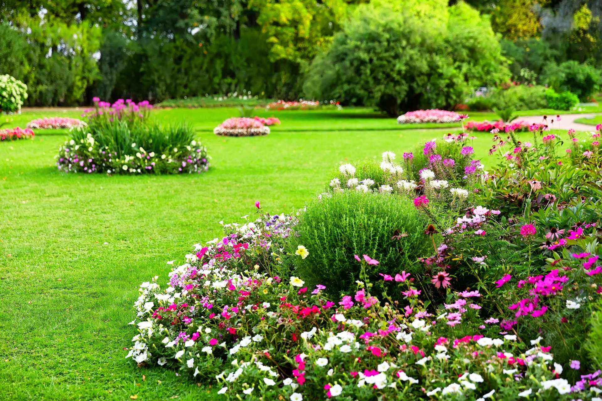 Landscaped garden with vibrant flower beds, blooming plants, and lush green lawn in a sunny park.