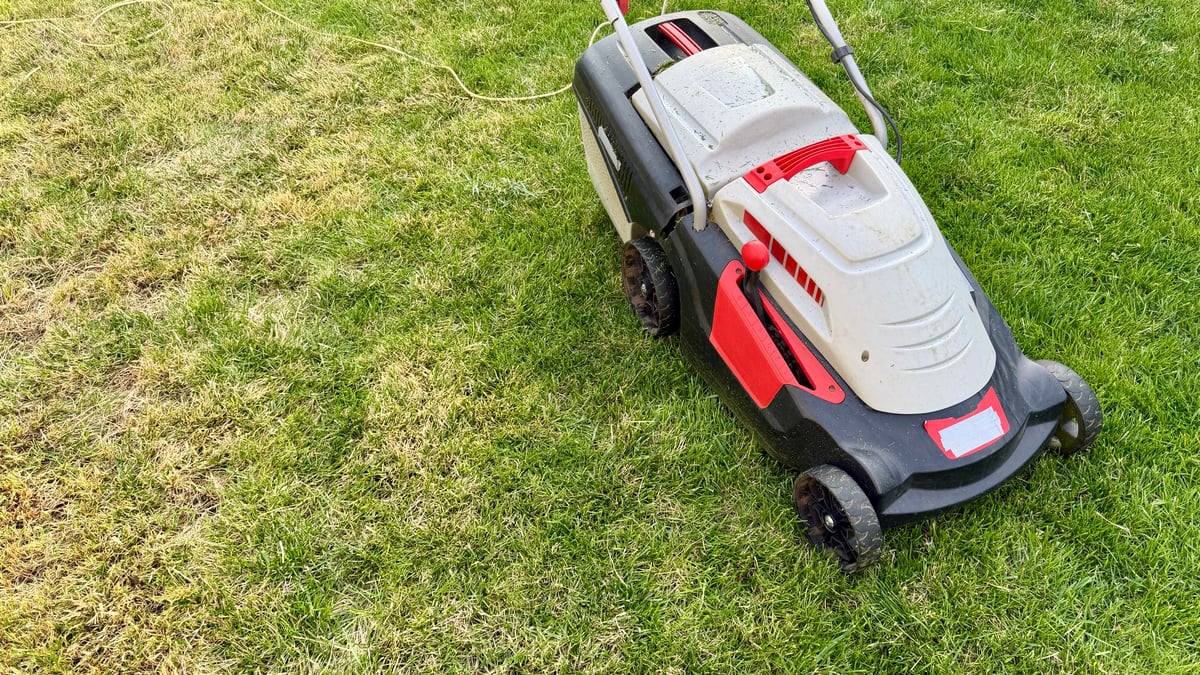 An electric lawn mower stands on a backyard lawn where lush green grass is mixed with problematic, dried, yellowing areas.
